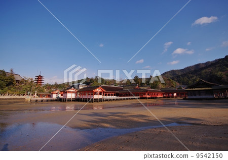 Miyajima Itsukushima shr Miyajima Itsukushima shr 9542150