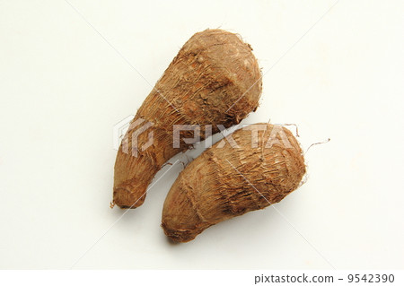 Taro Taro 9542390