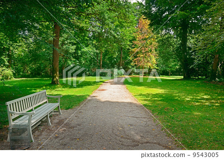 Bench in a beautiful park 9543005