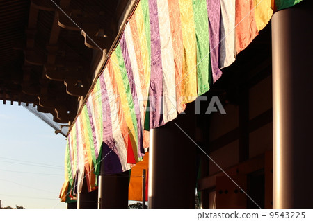 Daisyo Nishiarai 9543225