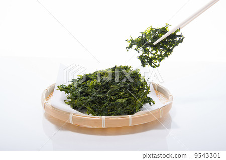 Aoyagari的形象 Aoyagari的形象 9543301