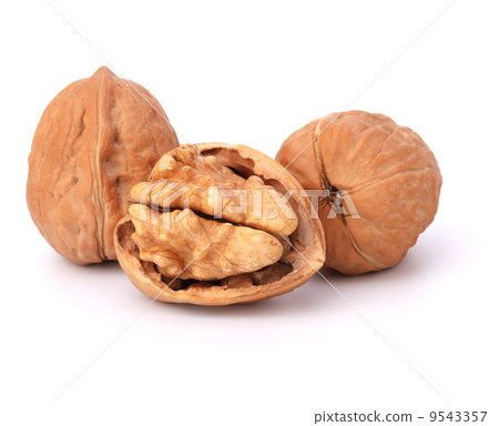 walnut 9543357