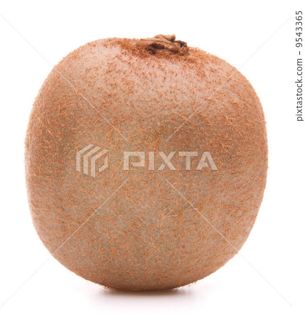 Kiwi fruit 9543365