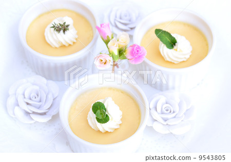 派對 派對 9543805