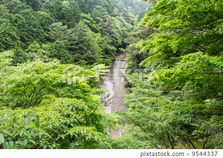 滑谷雪環瀑布 9544337