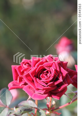 Mini Bar Noir Mini Bar Noir 9544563