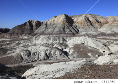Petrified Forest National Park Blue Mesa 9544860