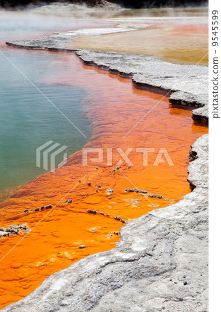 Champagne pool 9545599