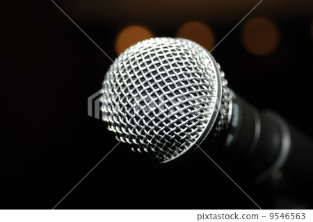 Microphone 9546563