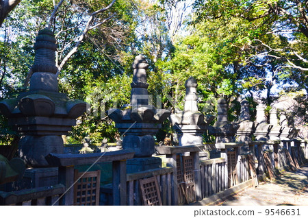 Todo Takao墓(上野動物園/東京台東區) Todo Takao墓(上野動物園/東京台東區) 9546631