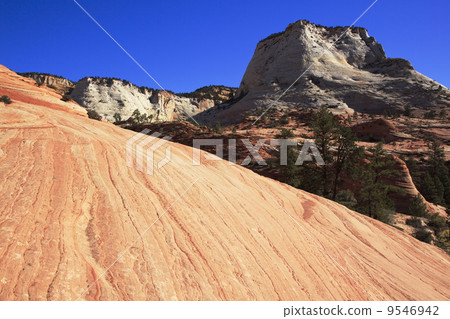 Zion National Park Zion National Park 9546942