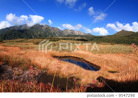 Tateyama Maidahigahara 9547298