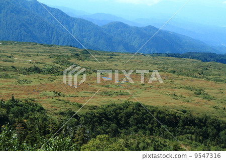 Tateyama Maidahigahara 9547316