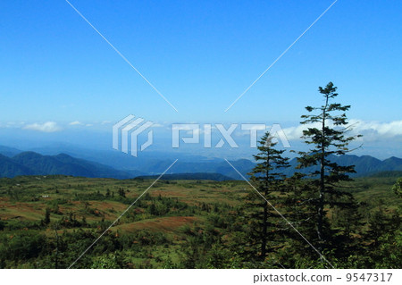 Tateyama Maidahigahara 9547317