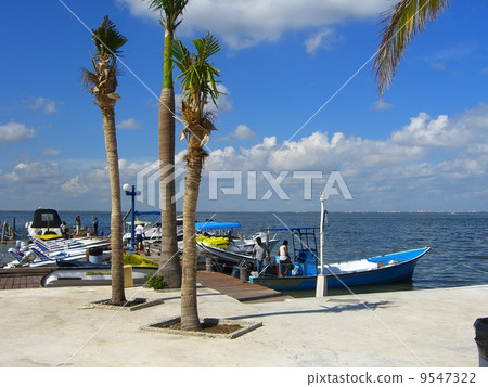 墨西哥港口 9547322