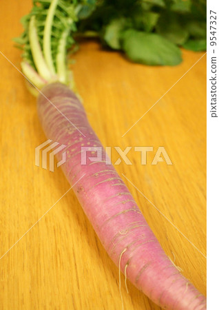 Masayama遊行蘿蔔 Masayama遊行蘿蔔 9547327