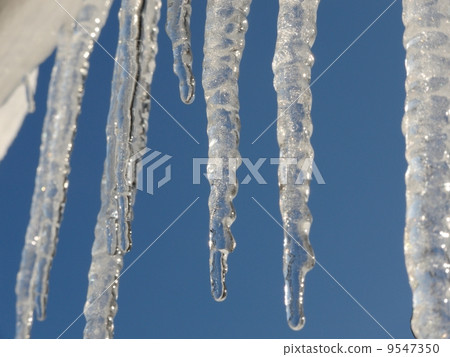 釧路的冰柱 9547350