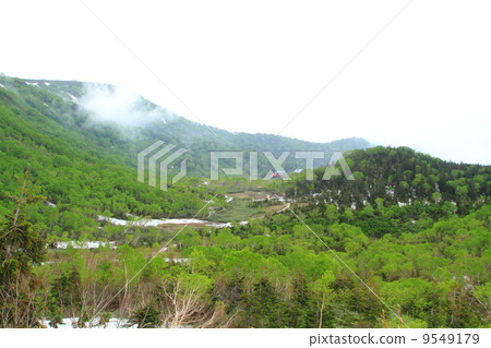 北阿爾卑斯山Tsugaike自然公園 9549179