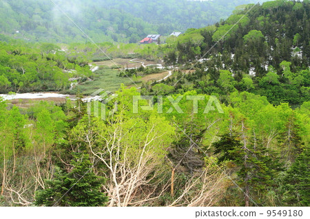 北阿爾卑斯山Tsugaike自然公園 9549180