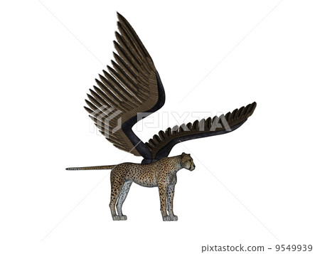 獵豹 獵豹 9549939