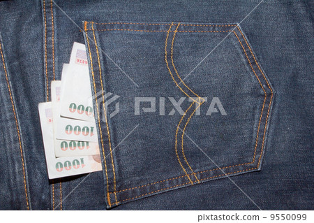 Pocket Full of Money Pocket Full of Money 9550099