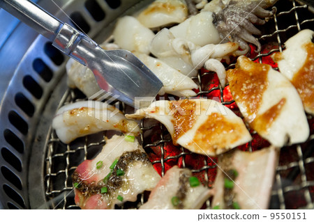 barbeque grill 9550151