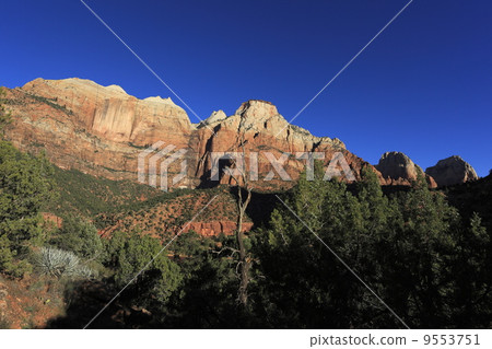 錫安國家公園 9553751