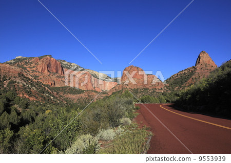 Zion National Park Cobb Canyon Road 9553939