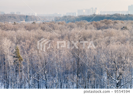 first sunrise rays illuminate city park 9554594