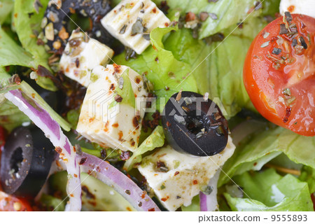 salad with fresh vegetables 9555893