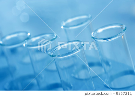 Flasks in the chemical laboratory 9557211