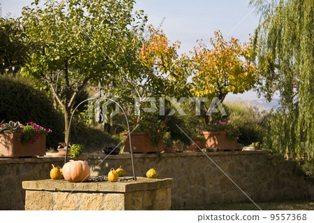 well in the garden of a luxury country house in the famous Tuscan hills, Italy. 9557368
