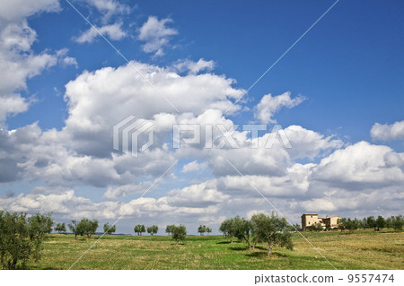 tuscan landscape, valle d'Orcia, italy 9557474