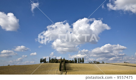 tuscan landscape, valle d'Orcia, italy tuscan landscape, valle d'Orcia, italy 9557475