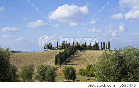 tuscan landscape, valle d'Orcia, italy tuscan landscape, valle d'Orcia, italy 9557476