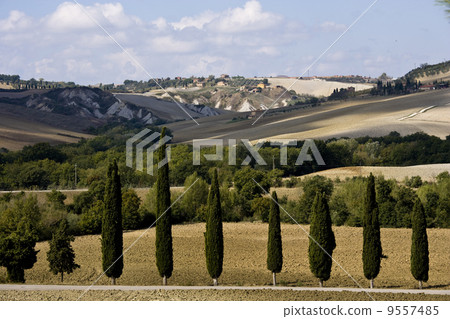 typical tuscan landscape 9557485