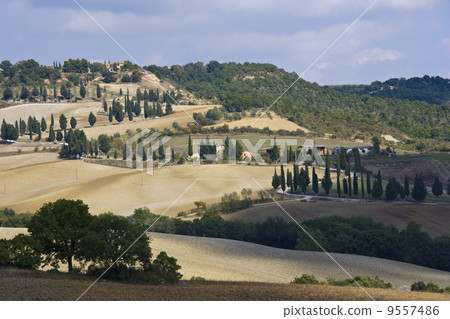 relaxing landscape of tuscan rural area in a beautiful day relaxing landscape of tuscan rural area in a beautiful day 9557486