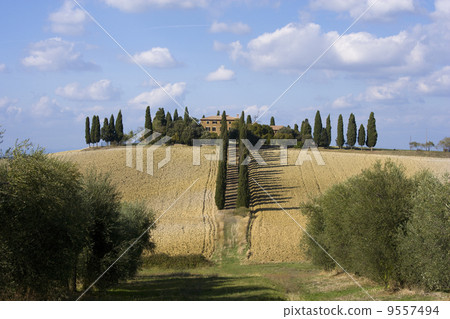tuscan landscape 9557494
