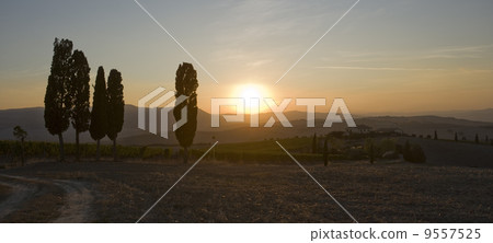 Tuscan sunset 9557525
