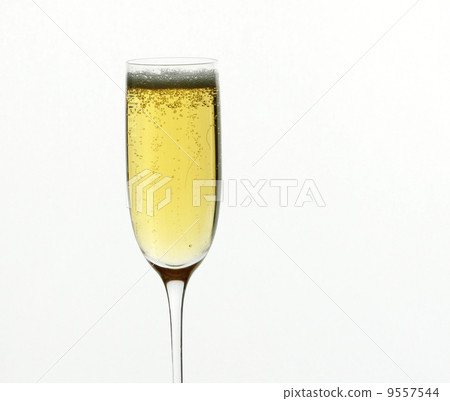 A champagne flute against a white background. A champagne flute against a white background. 9557544