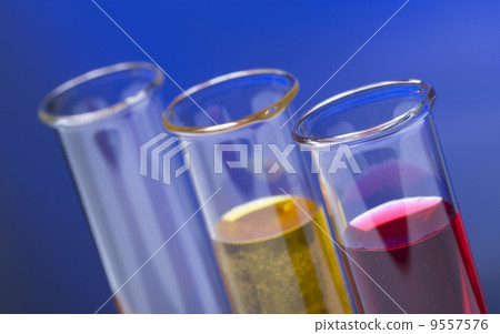 Flasks in the chemical laboratory Flasks in the chemical laboratory 9557576