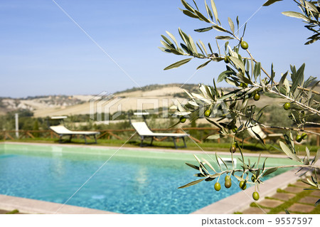 Chairs in the garden of a luxury country house in the famous tuscan hills, Italy. Chairs in the garden of a luxury country house in the famous tuscan hills, Italy. 9557597