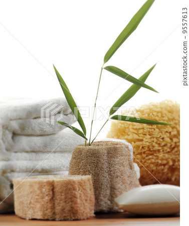 spa still life spa still life 9557613