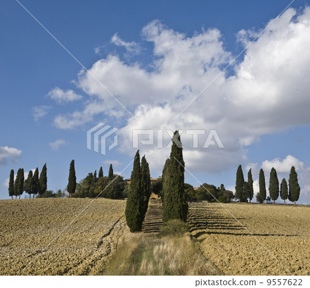 tuscan landscape, valle d'Orcia, italy 9557622