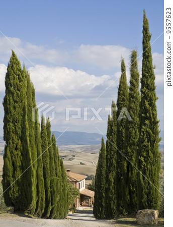 tuscan landscape, valle d'Orcia, italy tuscan landscape, valle d'Orcia, italy 9557623