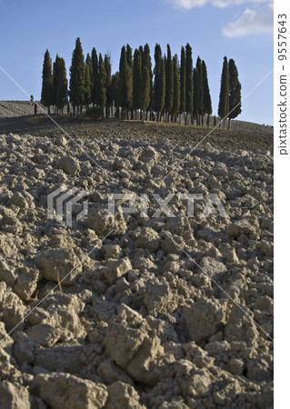 Tuscan Landscape. Val D'Orcia, Tuscany, Italy. Tuscan Landscape. Val D'Orcia, Tuscany, Italy. 9557643