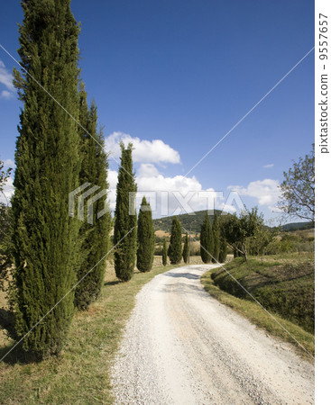 cypress alley 9557657