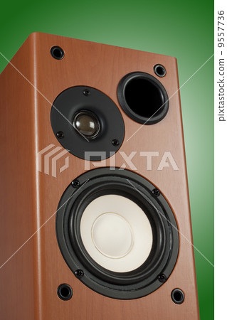 Loudspeaker 9557736