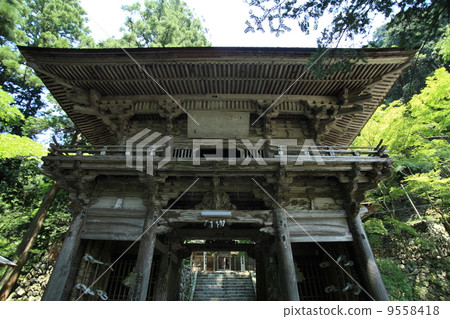 Yokodoji Niimon 9558418