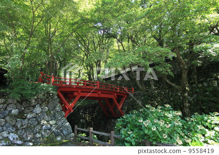 Yokodoji king's bridge in the summer 9558419